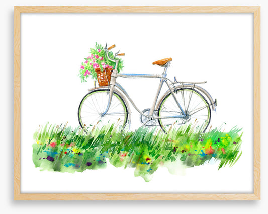 Transport