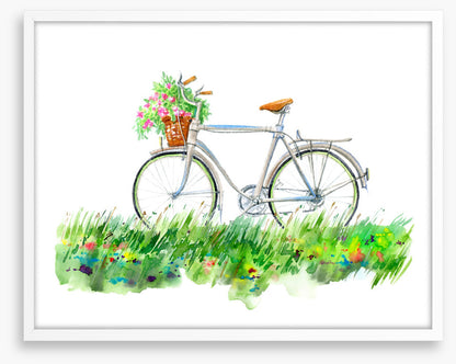Transport