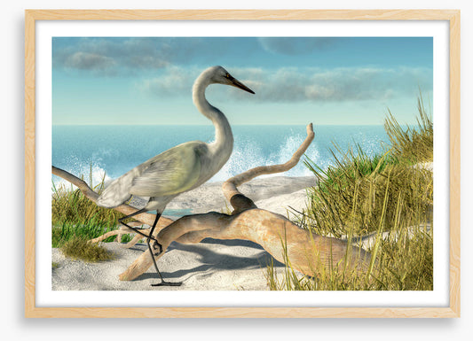 White egret beach