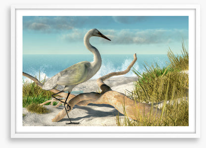 White egret beach