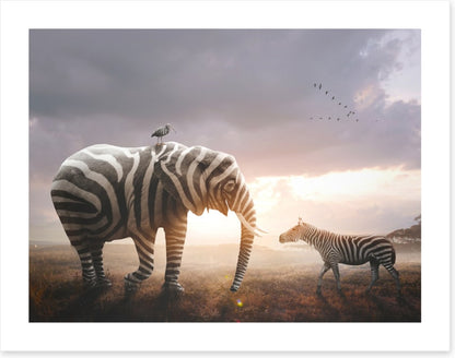 Surprise in stripes