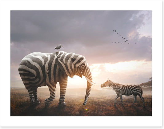 Surprise in stripes