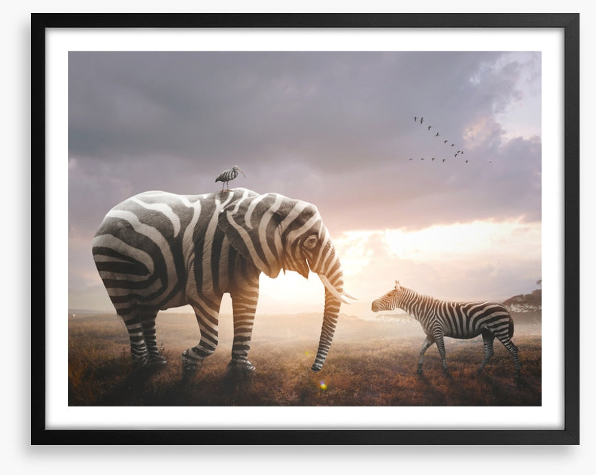 Surprise in stripes