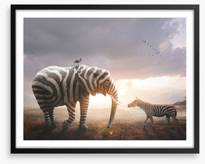 Surprise in stripes