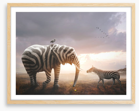 Surprise in stripes