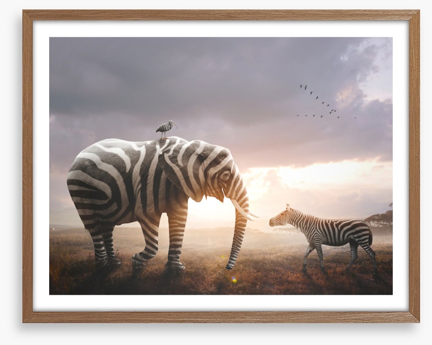 Surprise in stripes