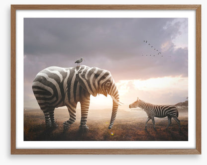 Surprise in stripes