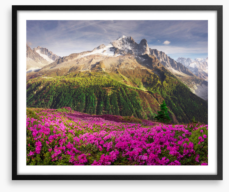 Mountains