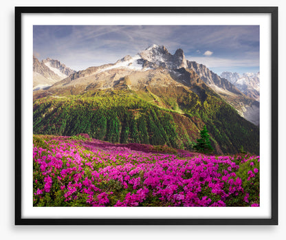 Mountains
