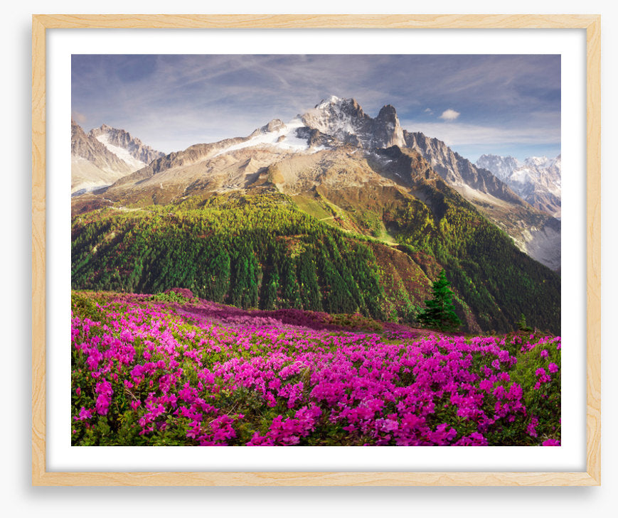 Mountains