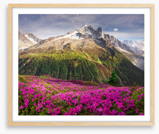 Mountains