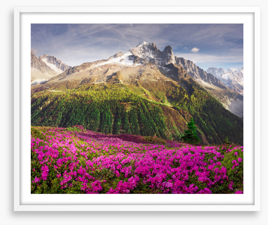 Mountains