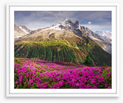 Mountains