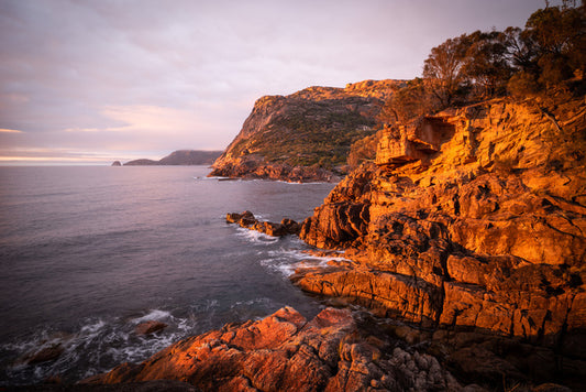 Golden granite, Freycinet