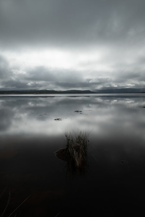 Tasmania