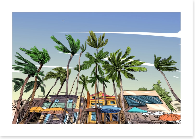 Beach House