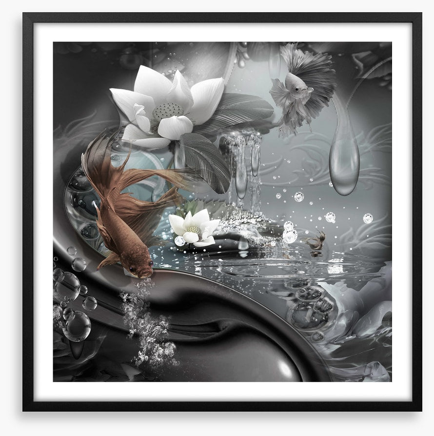 The curious lagoon