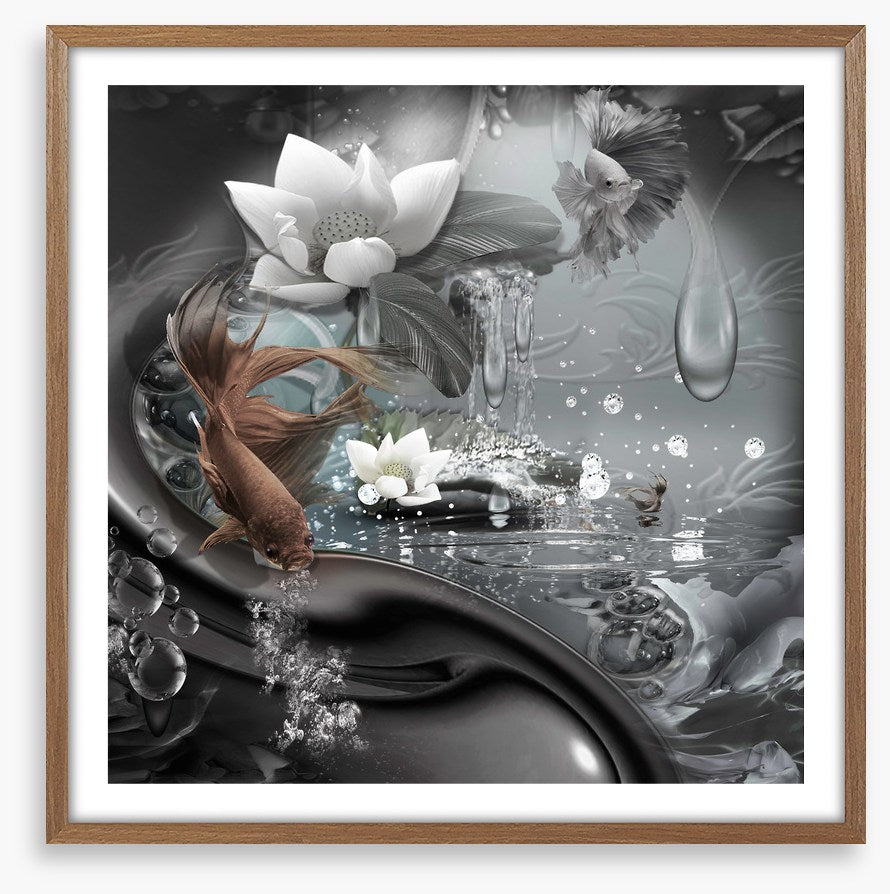 The curious lagoon
