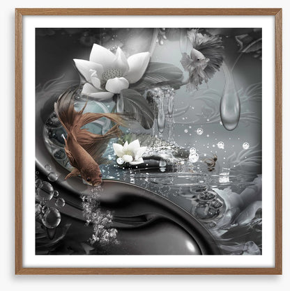 The curious lagoon