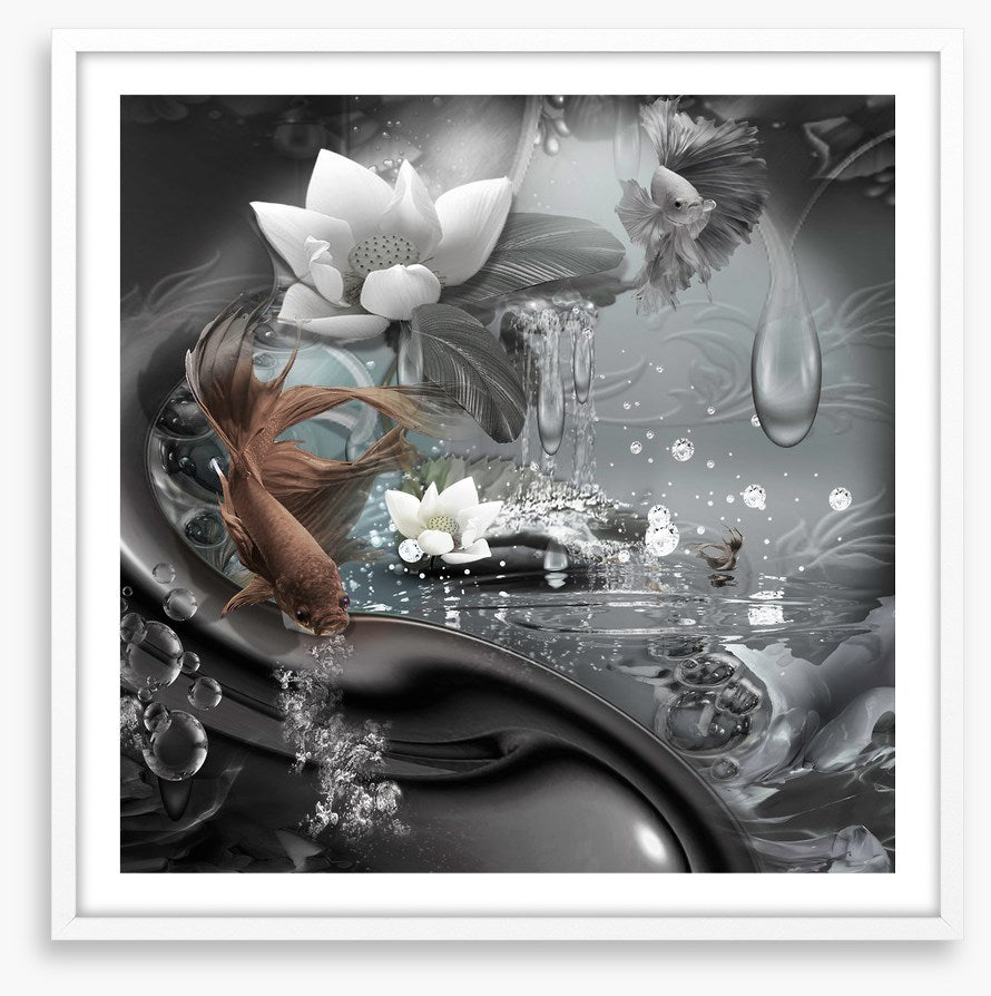 The curious lagoon