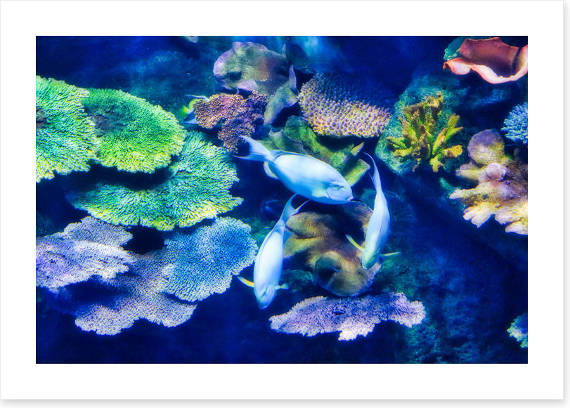 Underwater