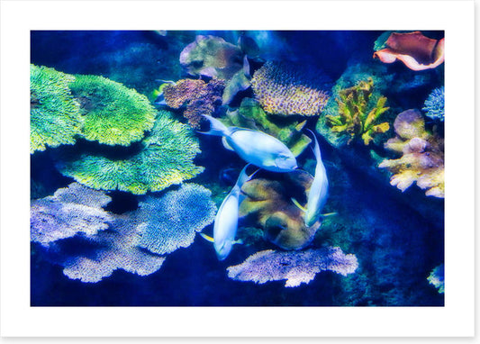 Underwater