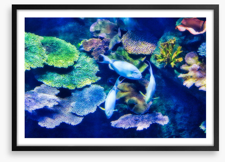 Underwater