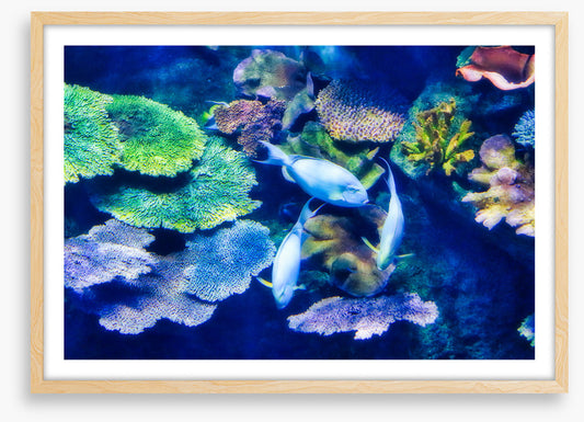 Underwater