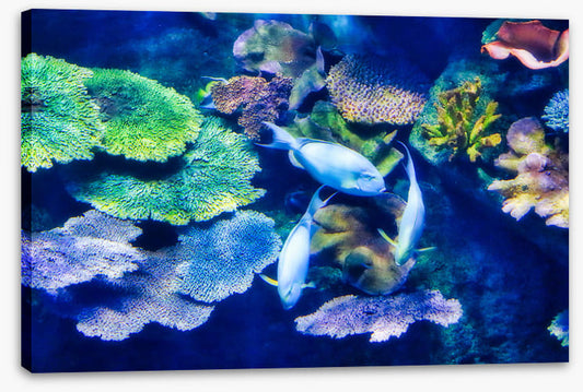 Underwater