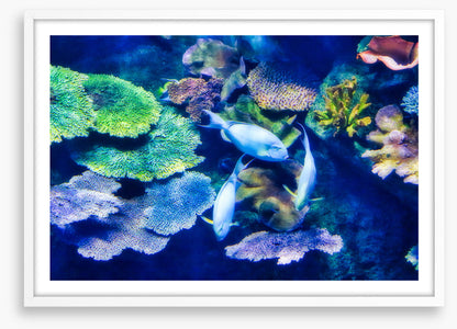 Underwater
