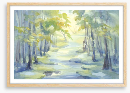 Spring river shadows