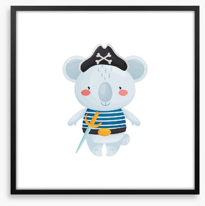 Pirate koala
