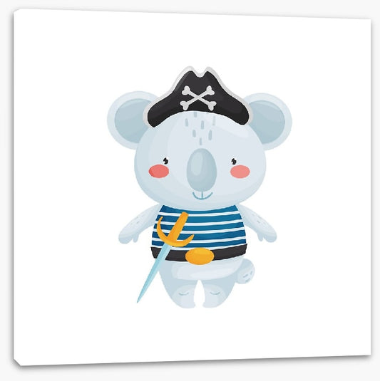 Pirate koala