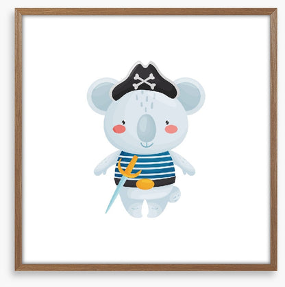 Pirate koala