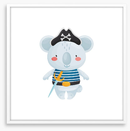 Pirate koala