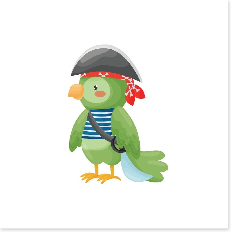 Pirate parrot