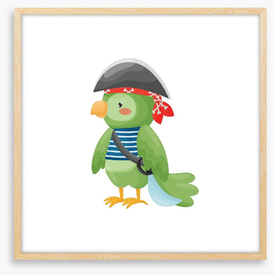 Pirate parrot