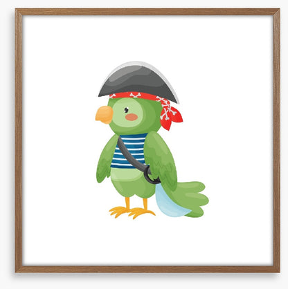 Pirate parrot