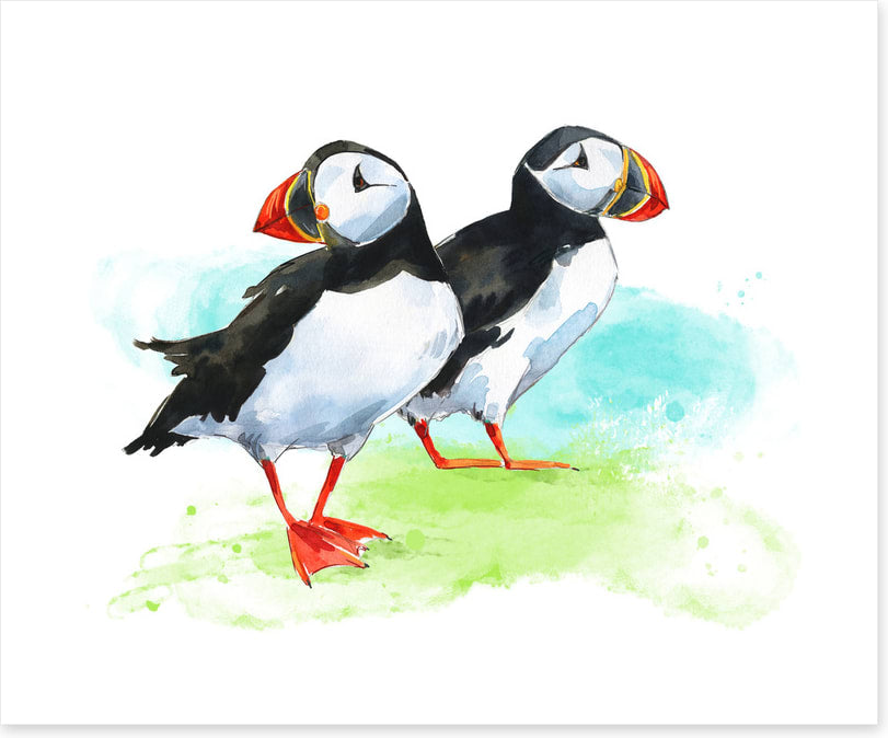 Puffin pair