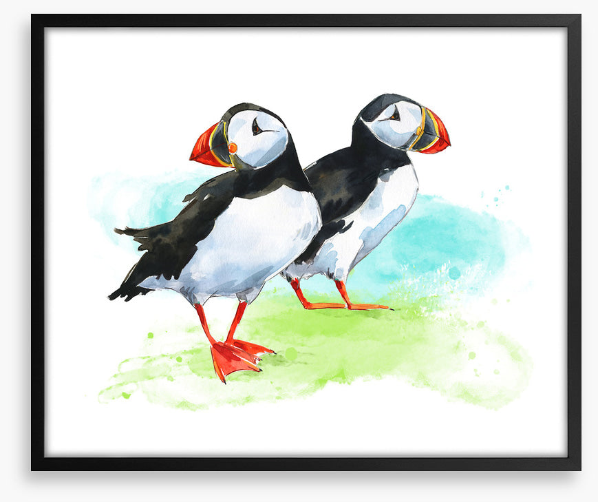 Puffin pair