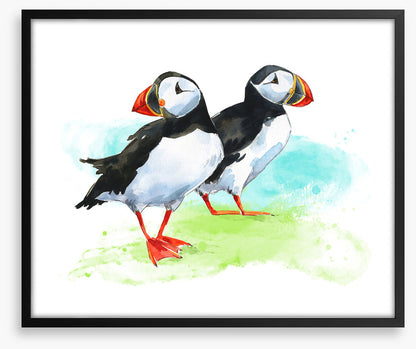 Puffin pair