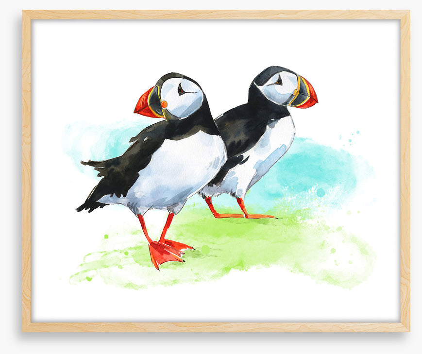 Puffin pair