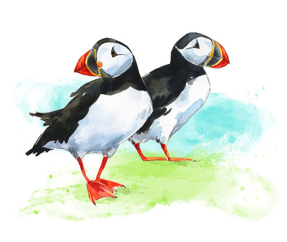 Puffin pair