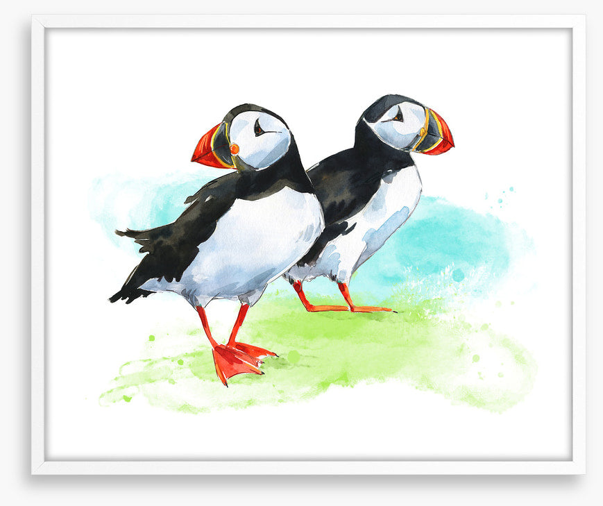 Puffin pair