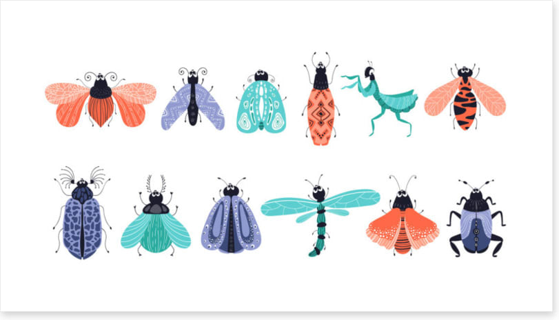 Bug out