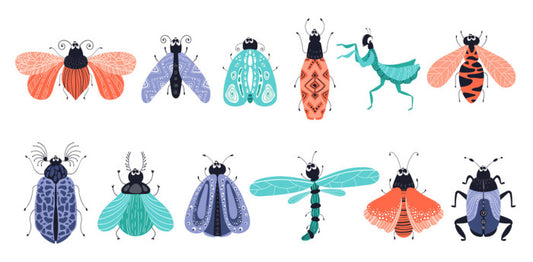 Bug out