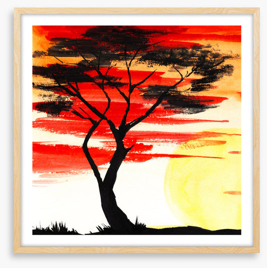 Savanna sundown silhouette
