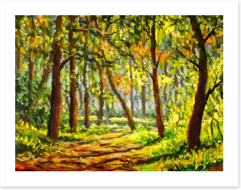 In the sunny forest