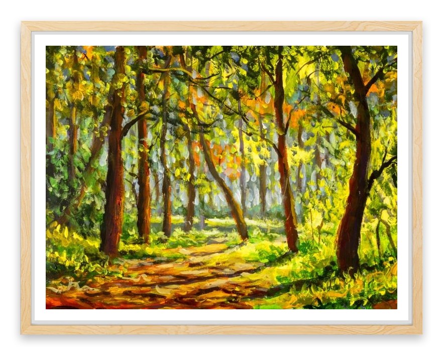 In the sunny forest