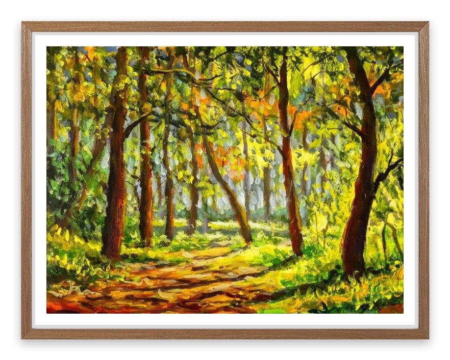 In the sunny forest
